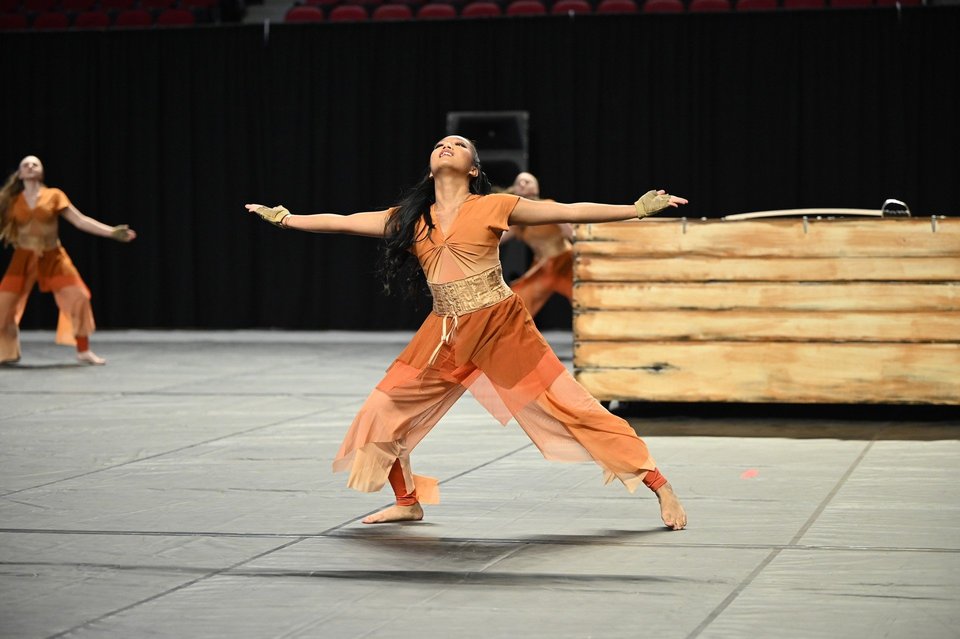 Mt Juliet HS Winter Guard performing