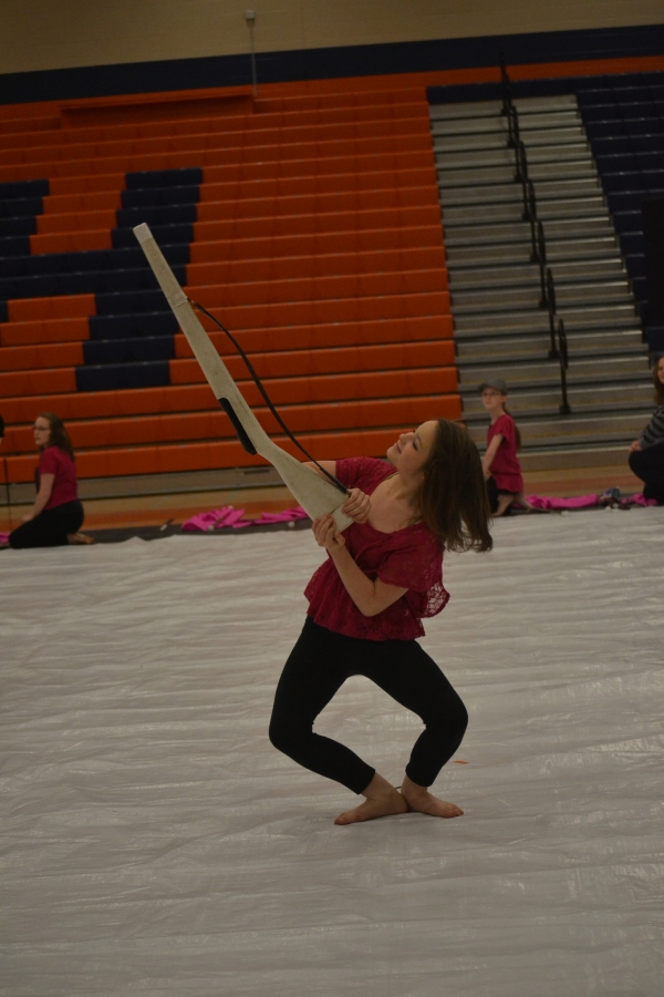 Hart County Cadet Guard photo