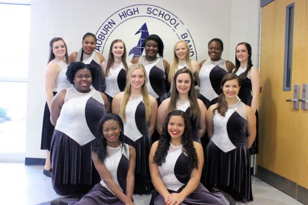 Auburn HS Winter Guard photo
