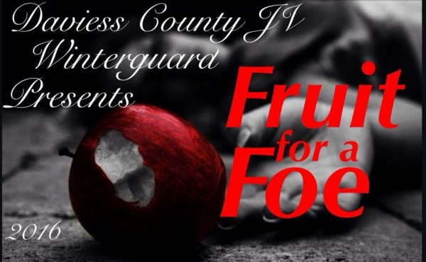 Daviess County JV Winter Guard photo