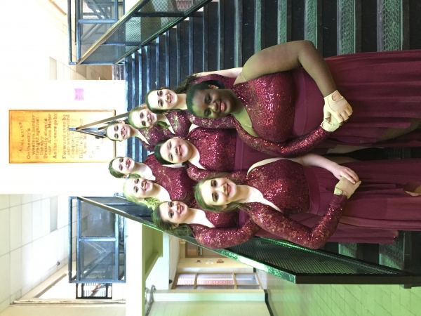 Auburn HS Winter Guard photo