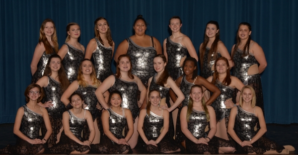 Brentwood HS Winter Guard photo
