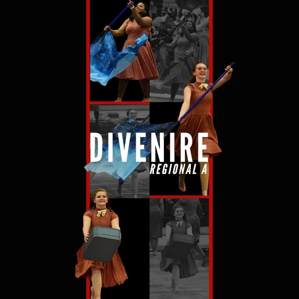 D2 Winter Guard
