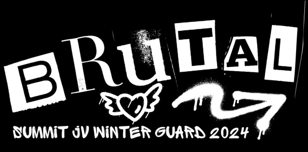 Summit AAA Winter Guard photo