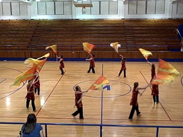 Hart County Cadet Guard photo