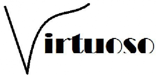 Virtuoso Winter Guard photo
